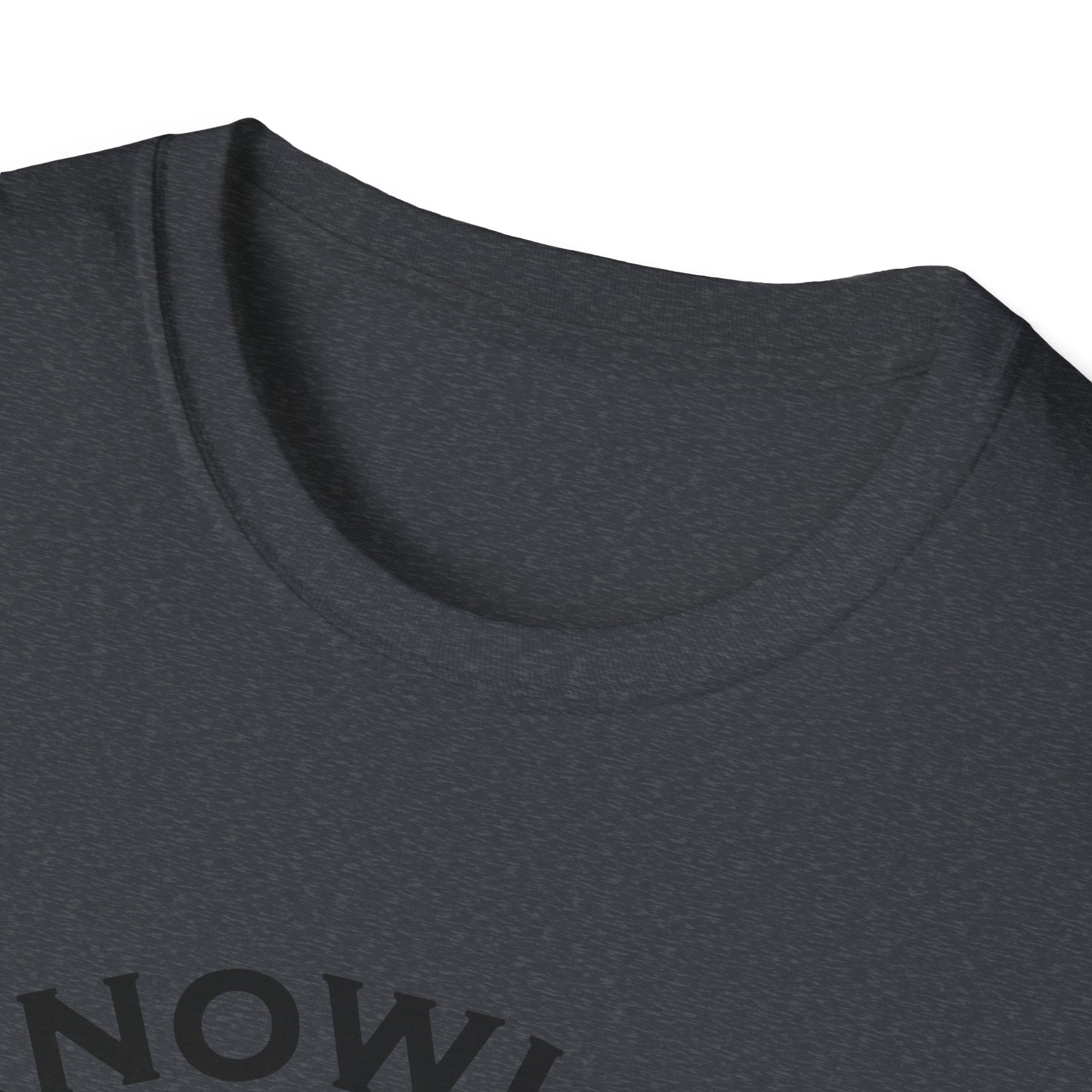 Roman Reigns Unisex Softstyle T-Shirt, Acknowledge Me Wrestling Fan Shirt, Gift, Wrestling Apparel, Roman Reigns Fan Tee