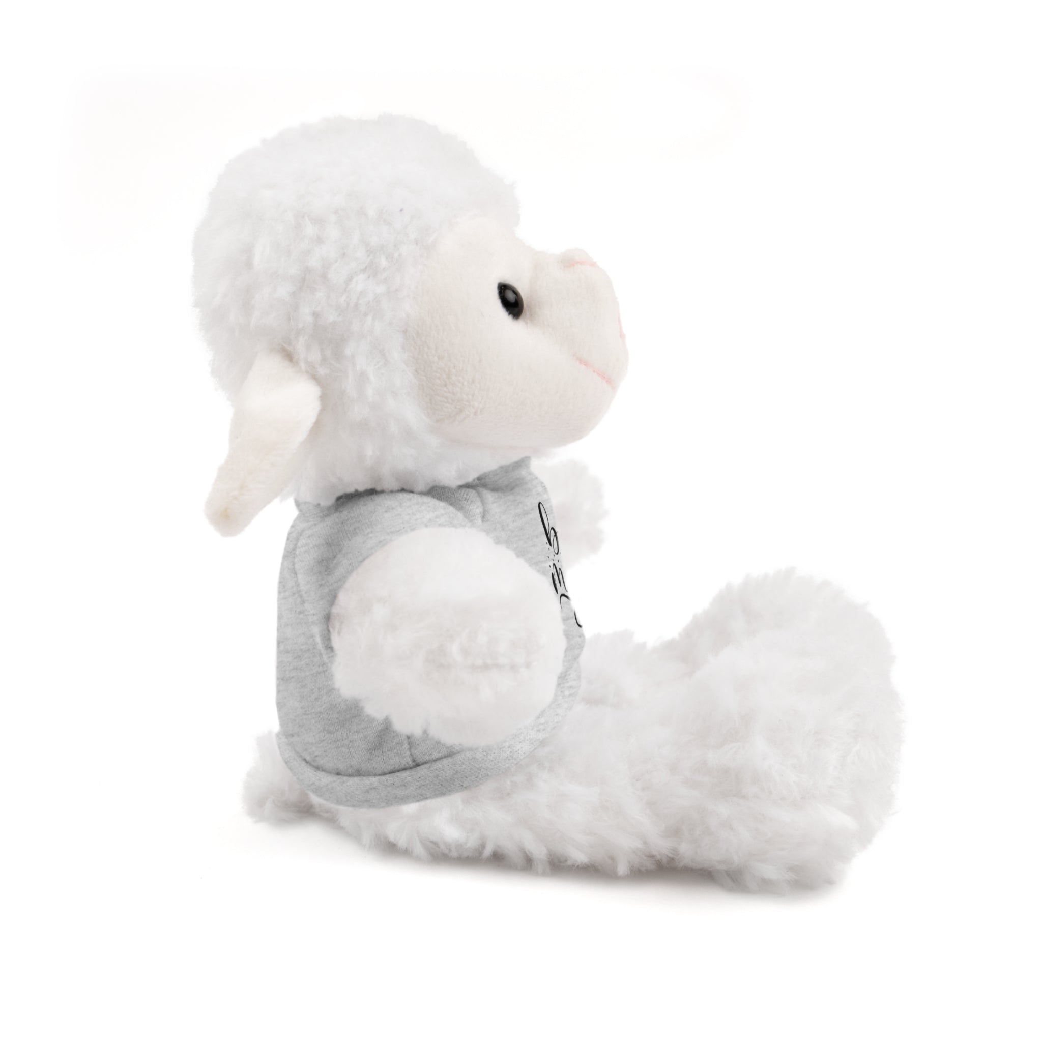 Lovely Panda Plushy, Be Mine, Stuffed Animals Shirt Printed, Suitable for Soft Valentine's Day Gift for Her, Him