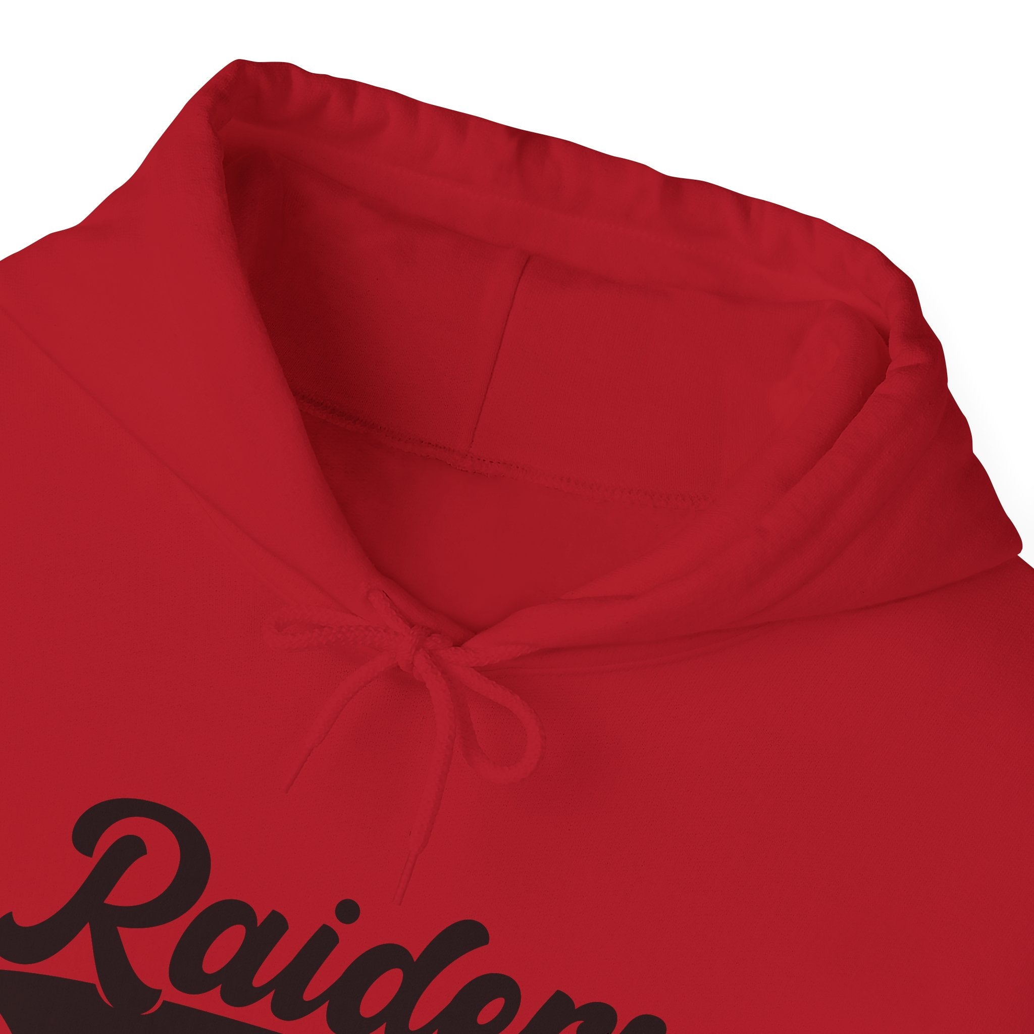 Pure Black Raiders Hoodie - Legendary Fanwear, Football Raiders Hoodie, Bold and Dominant, Ultimate Game-Day Gear, Football