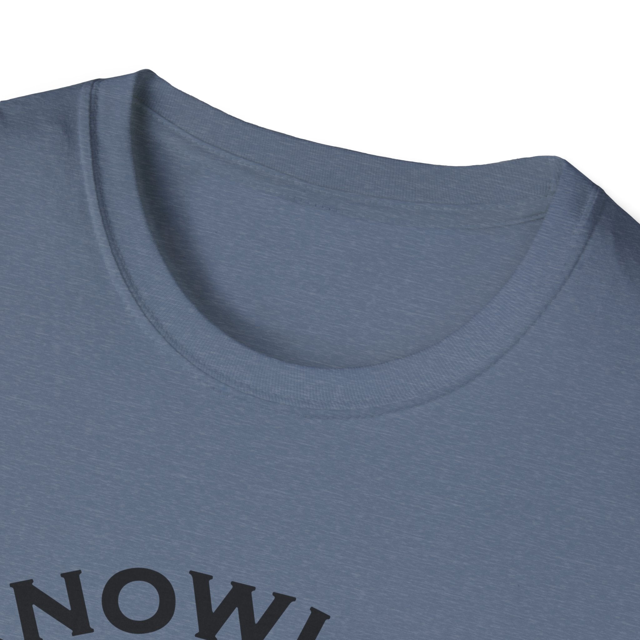 Roman Reigns Unisex Softstyle T-Shirt, Acknowledge Me Wrestling Fan Shirt, Gift, Wrestling Apparel, Roman Reigns Fan Tee