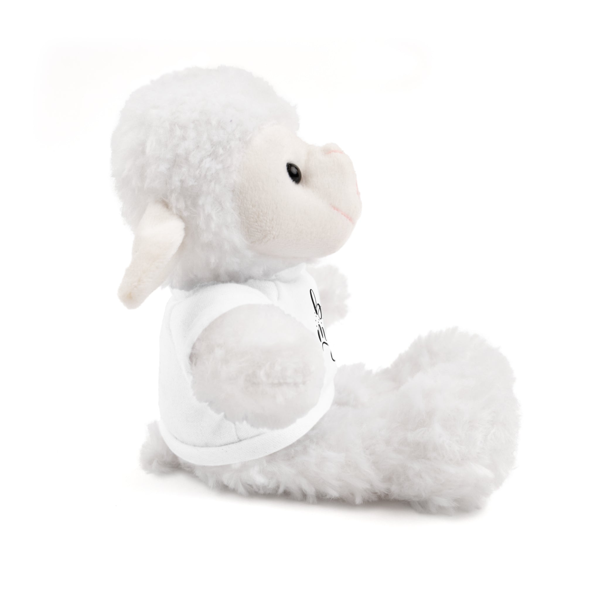 Lovely Panda Plushy, Be Mine, Stuffed Animals Shirt Printed, Suitable for Soft Valentine's Day Gift for Her, Him