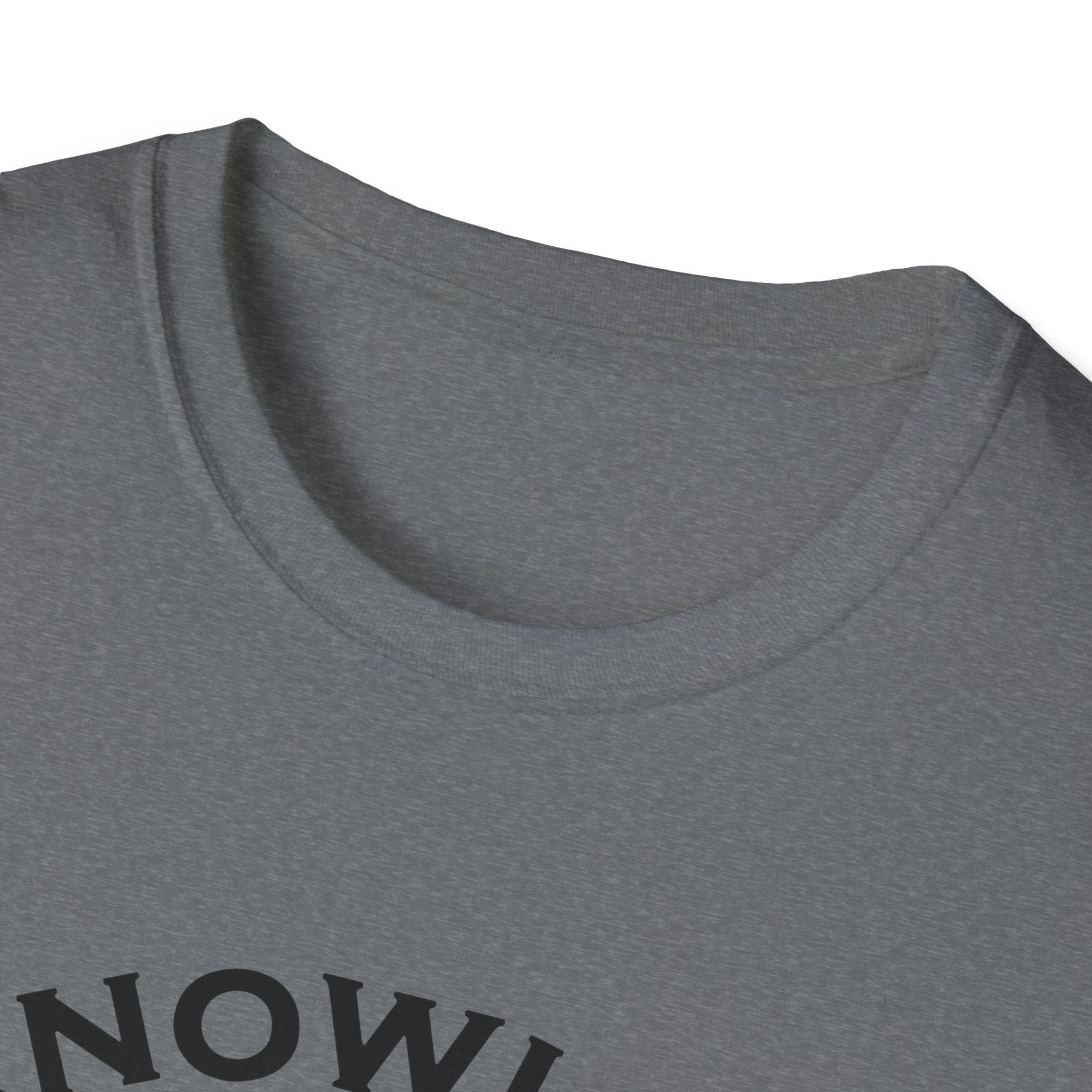Roman Reigns Unisex Softstyle T-Shirt, Acknowledge Me Wrestling Fan Shirt, Gift, Wrestling Apparel, Roman Reigns Fan Tee