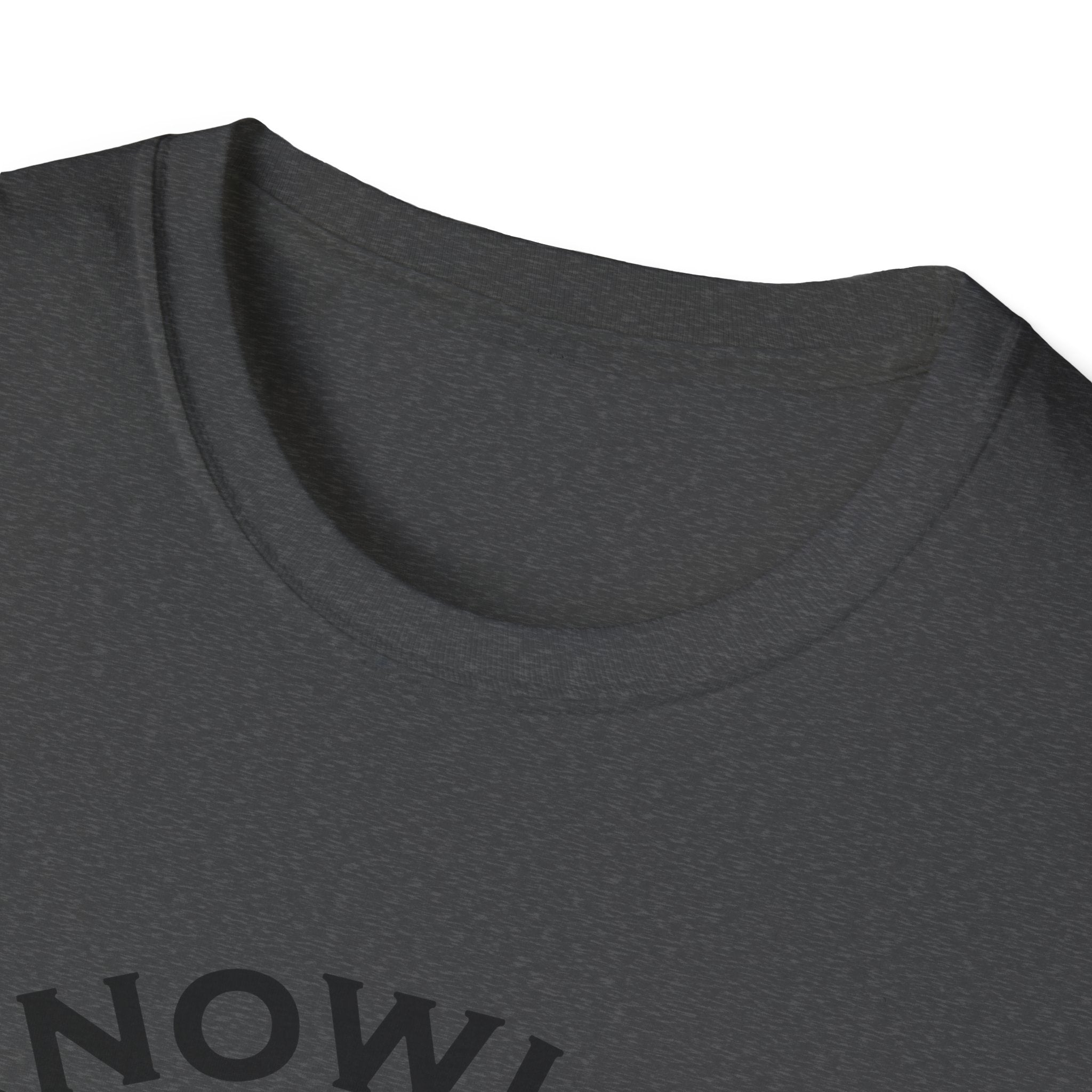 Roman Reigns Unisex Softstyle T-Shirt, Acknowledge Me Wrestling Fan Shirt, Gift, Wrestling Apparel, Roman Reigns Fan Tee