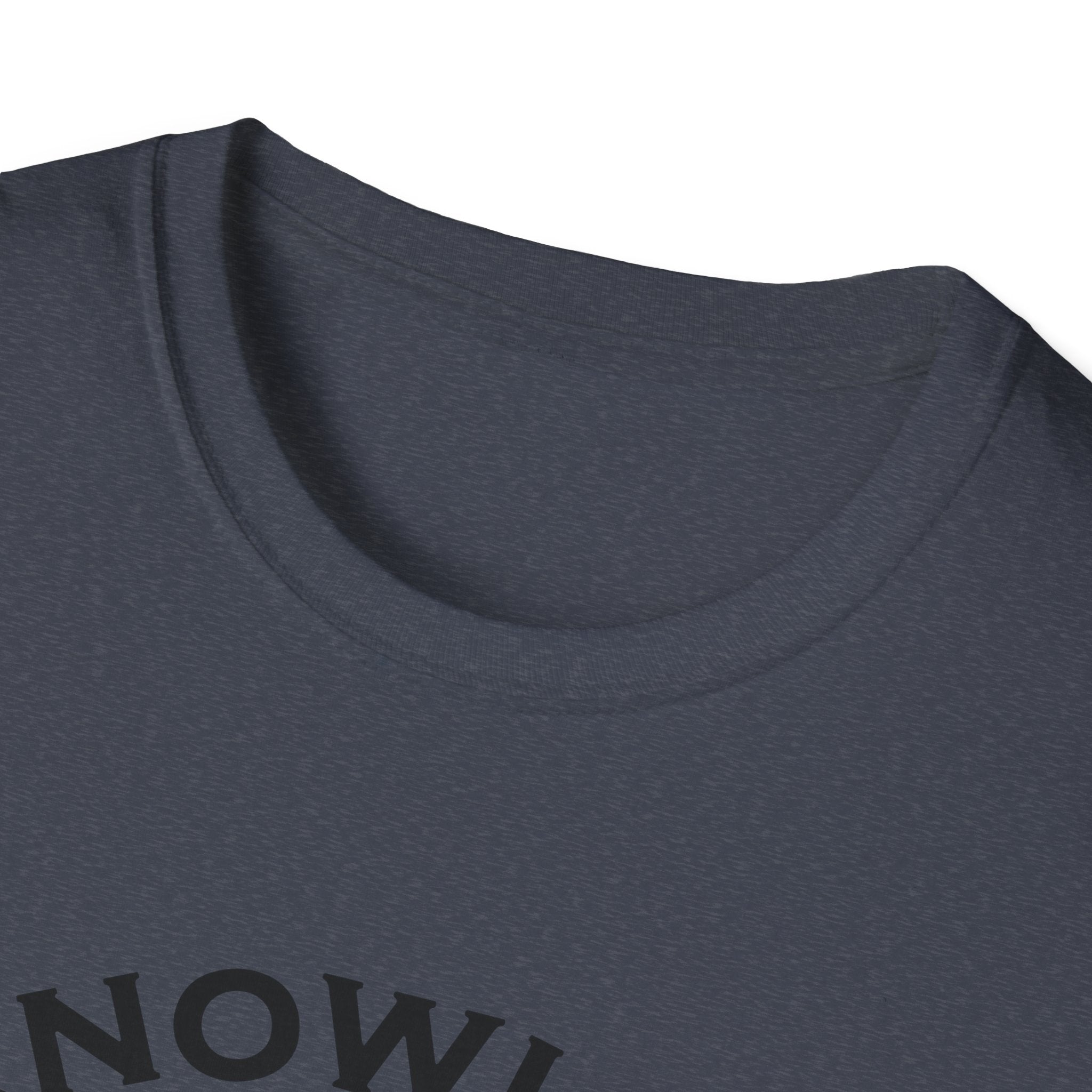 Roman Reigns Unisex Softstyle T-Shirt, Acknowledge Me Wrestling Fan Shirt, Gift, Wrestling Apparel, Roman Reigns Fan Tee