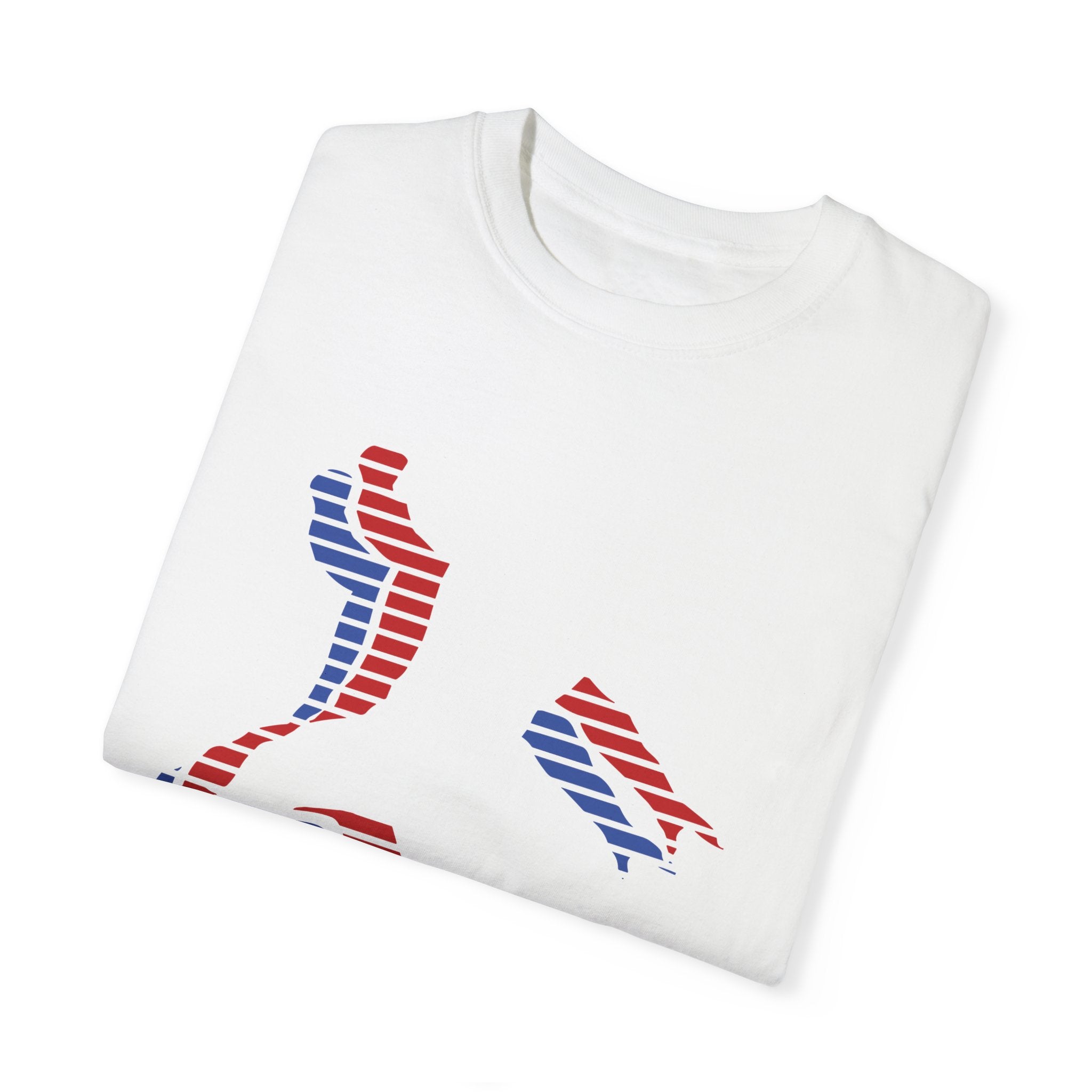 Roman Reigns Tri Colors Design Shirt, Sports Fan T-shirt, Unisex Shirt, Gift for Her-Him, Casual Outwear Shirt