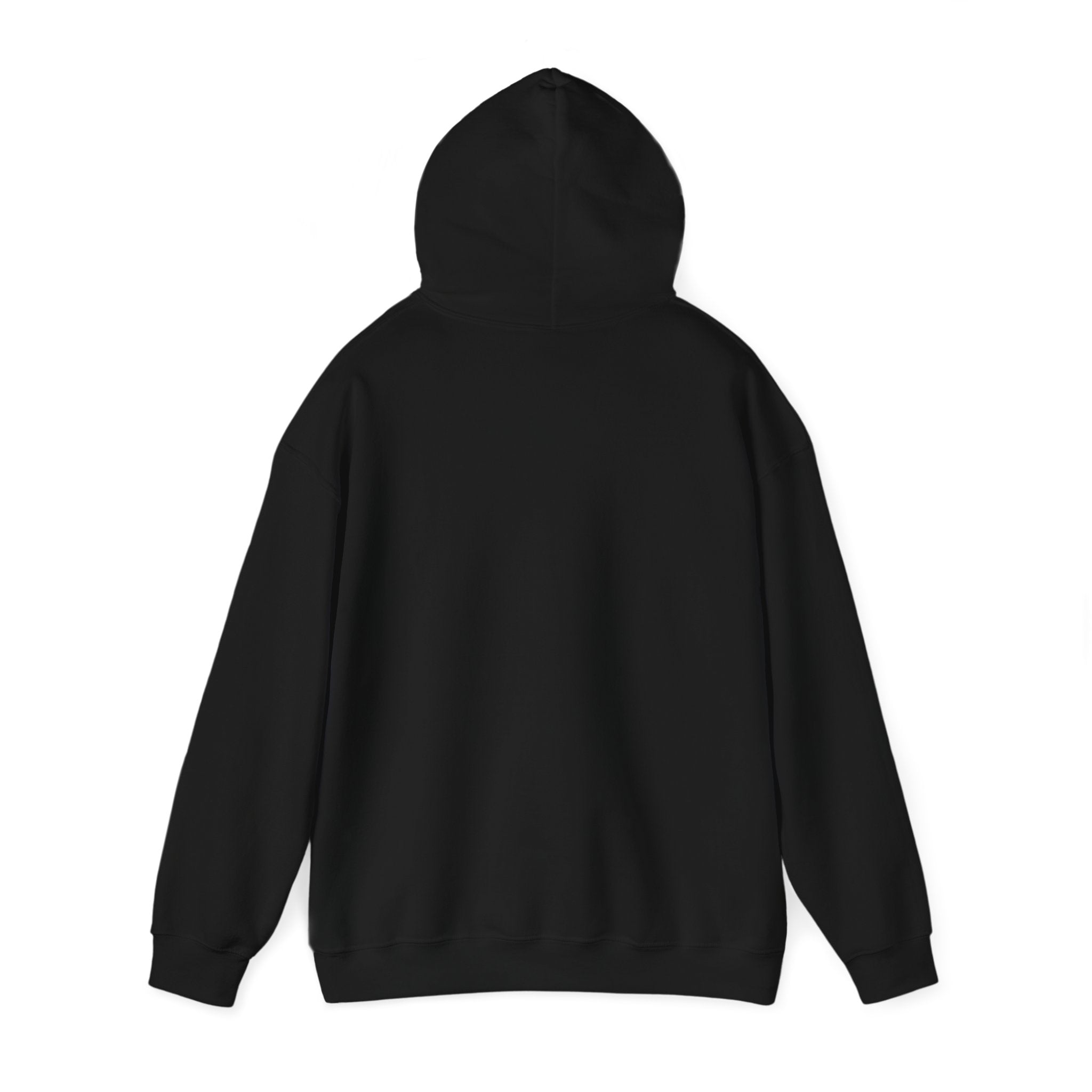 City Warrior Raiders Hoodie, Skyline Power Edition, Touchdown Raiders Hoodie, Unisex Hoodies, Raiders Football Fan Hoodie