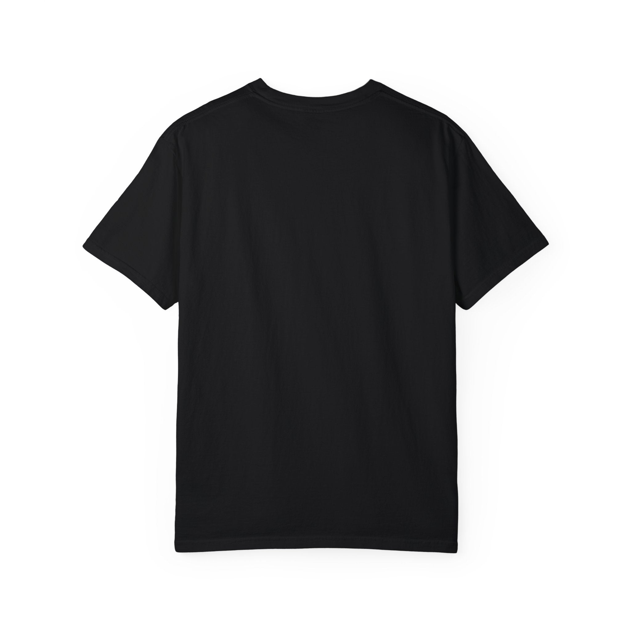 Roman Reigns Tri Colors Design Shirt, Sports Fan T-shirt, Unisex Shirt, Gift for Her-Him, Casual Outwear Shirt