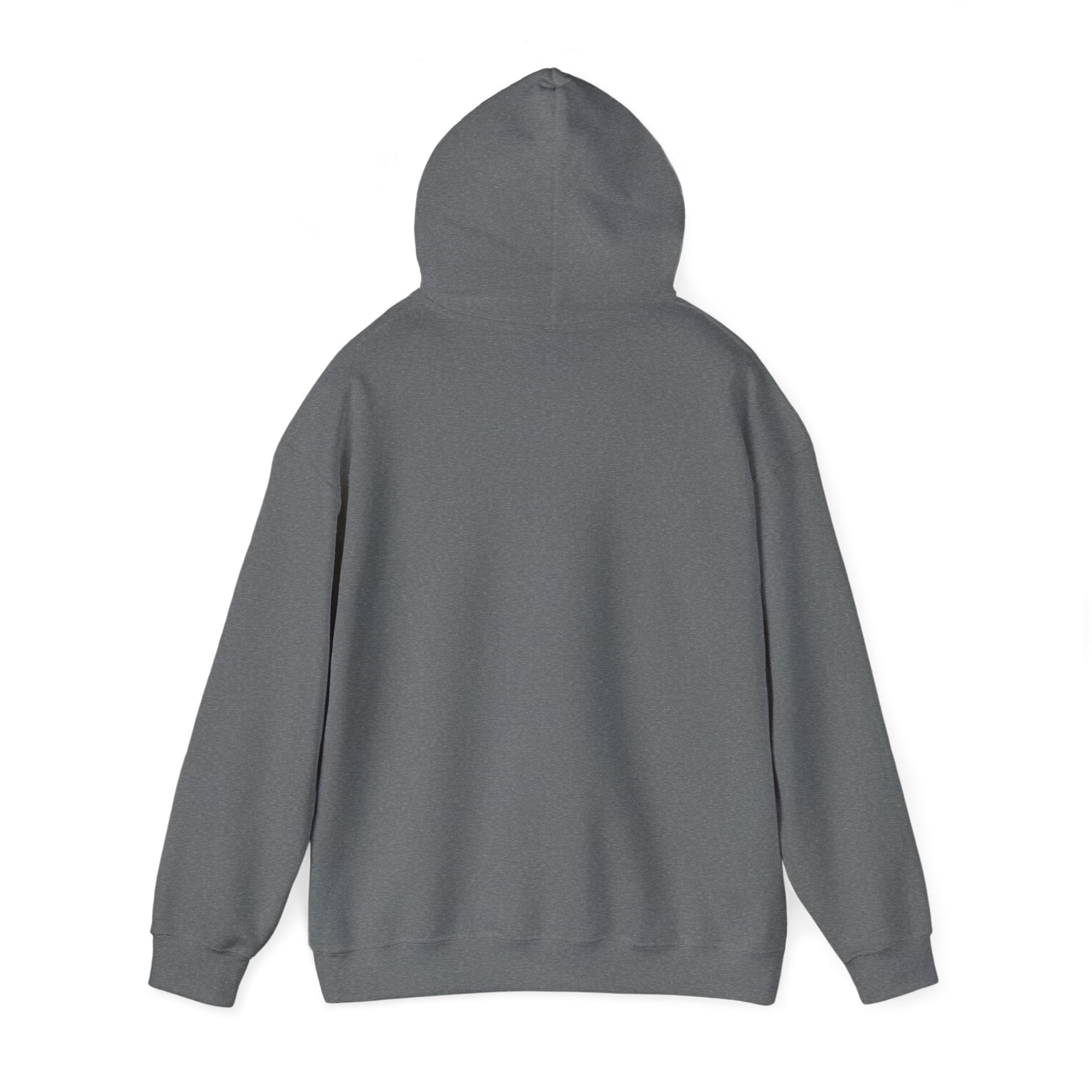 Gray Football and Helmet Shield Raiders Hoodie - Bold and Dominant, Ultimate Game-Day Gear, Raiders Football Hoodie Unisex