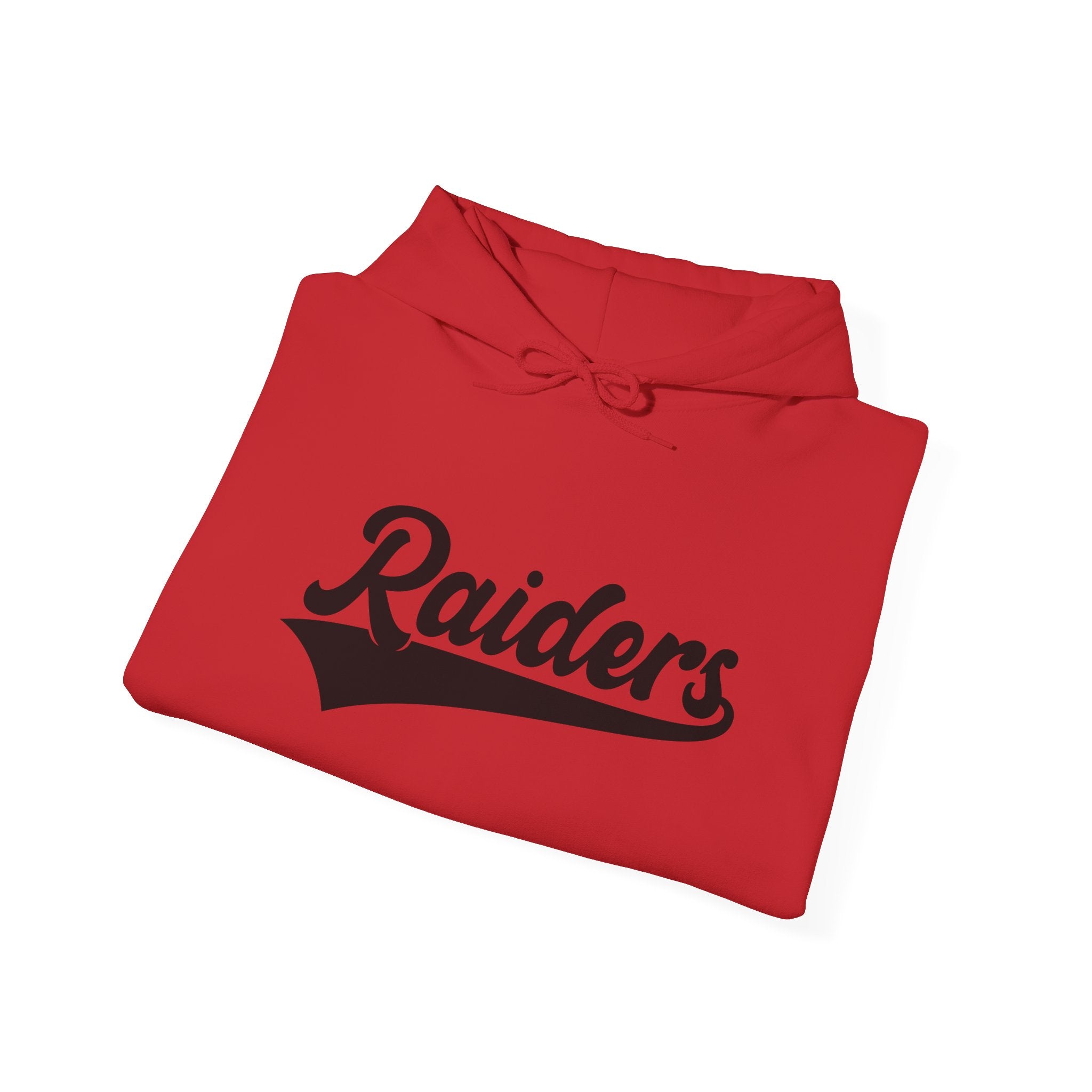 Pure Black Raiders Hoodie - Legendary Fanwear, Football Raiders Hoodie, Bold and Dominant, Ultimate Game-Day Gear, Football
