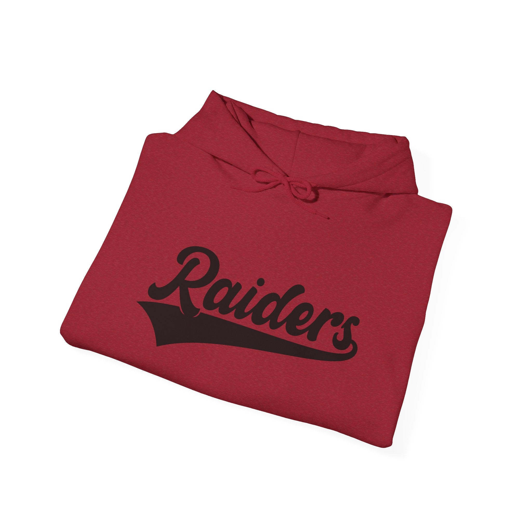 Pure Black Raiders Hoodie - Legendary Fanwear, Football Raiders Hoodie, Bold and Dominant, Ultimate Game-Day Gear, Football