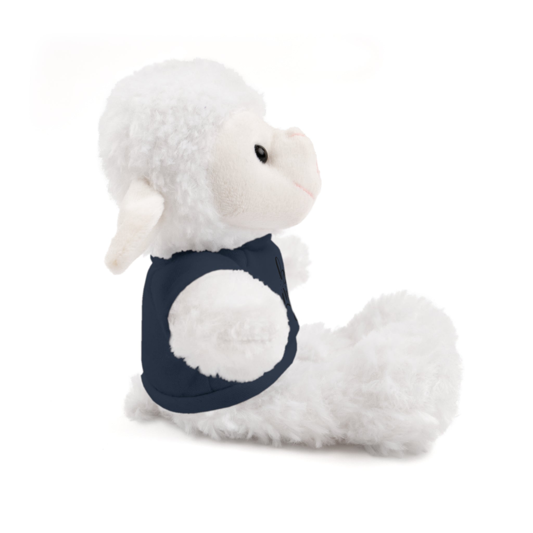 Lovely Panda Plushy, Be Mine, Stuffed Animals Shirt Printed, Suitable for Soft Valentine's Day Gift for Her, Him
