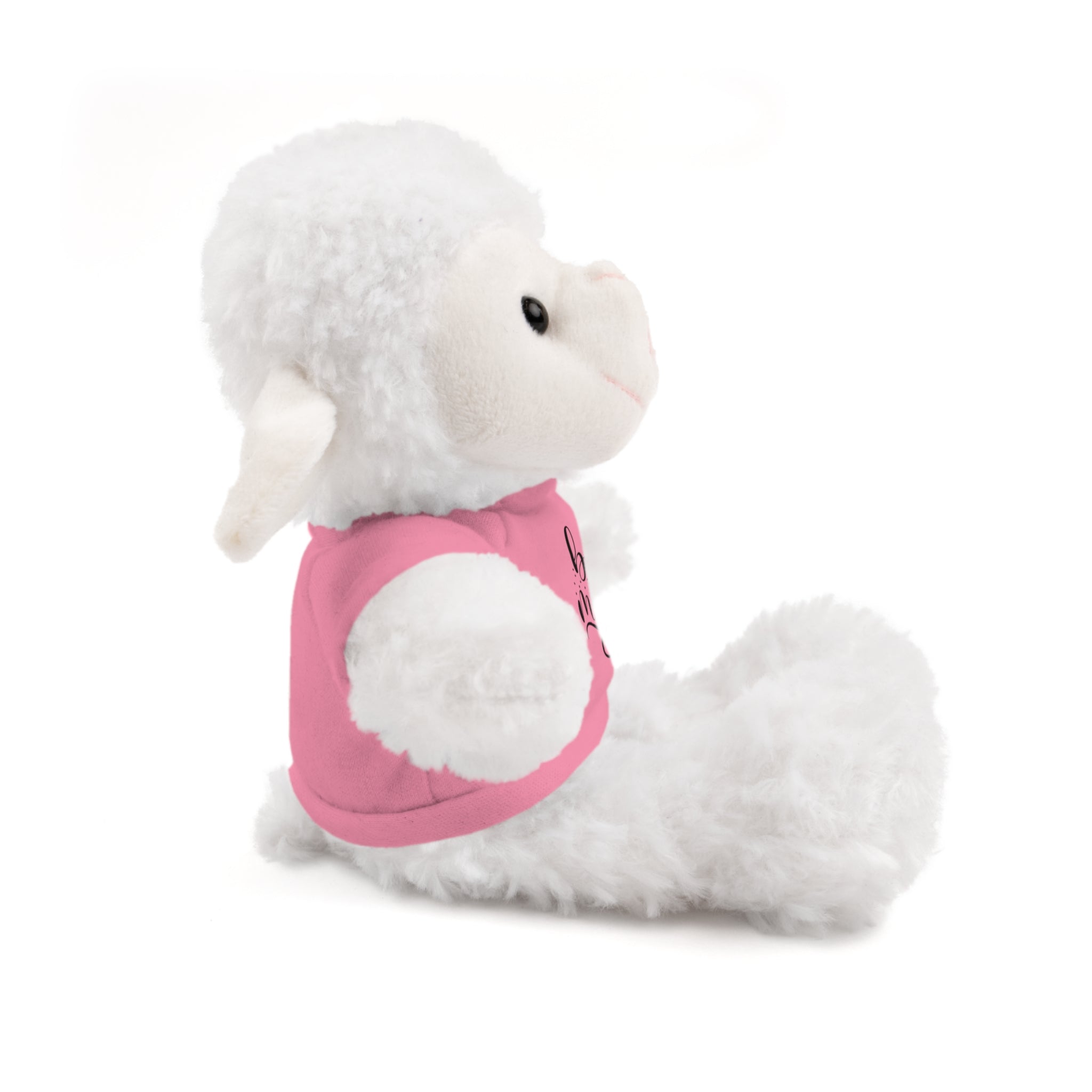 Lovely Panda Plushy, Be Mine, Stuffed Animals Shirt Printed, Suitable for Soft Valentine's Day Gift for Her, Him