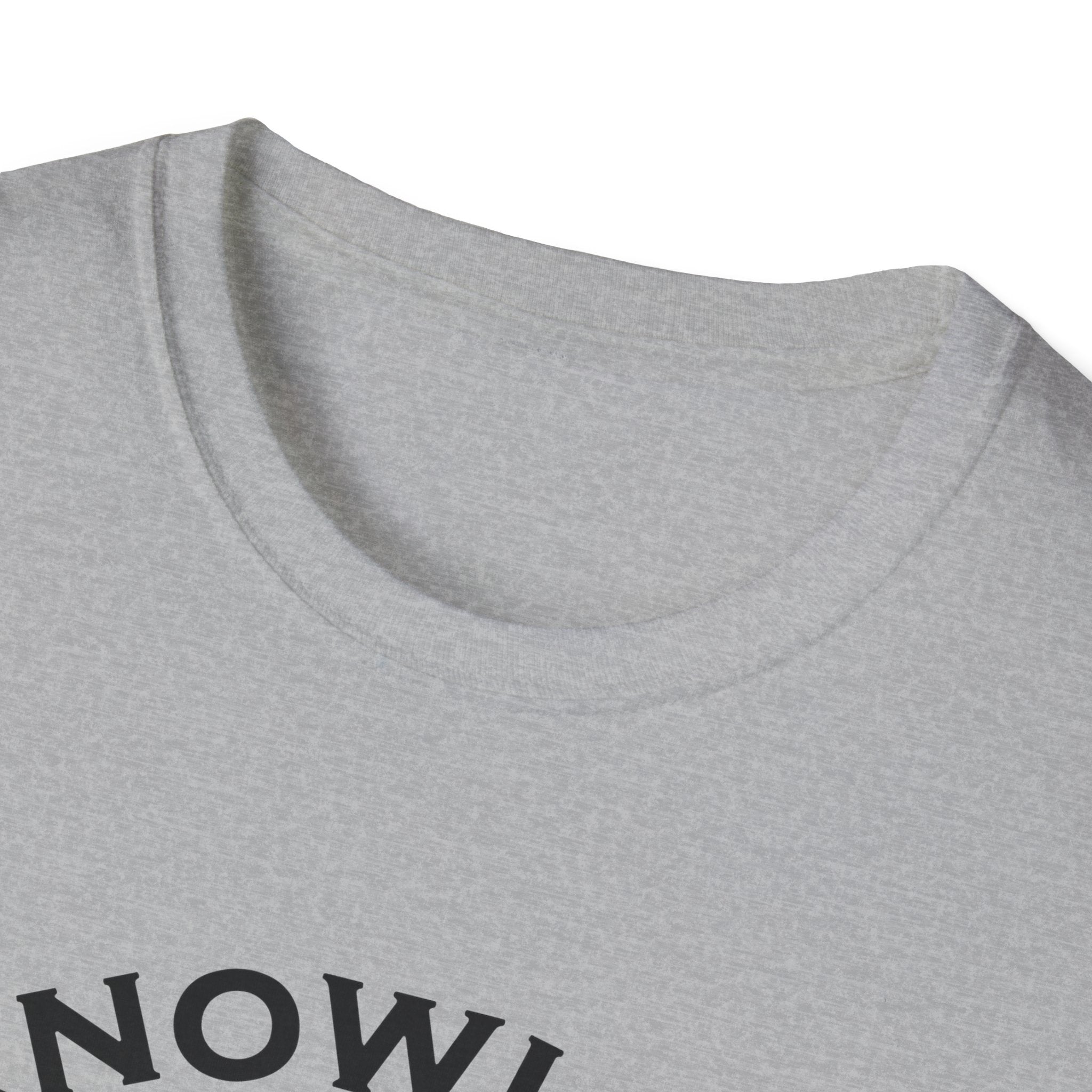 Roman Reigns Unisex Softstyle T-Shirt, Acknowledge Me Wrestling Fan Shirt, Gift, Wrestling Apparel, Roman Reigns Fan Tee