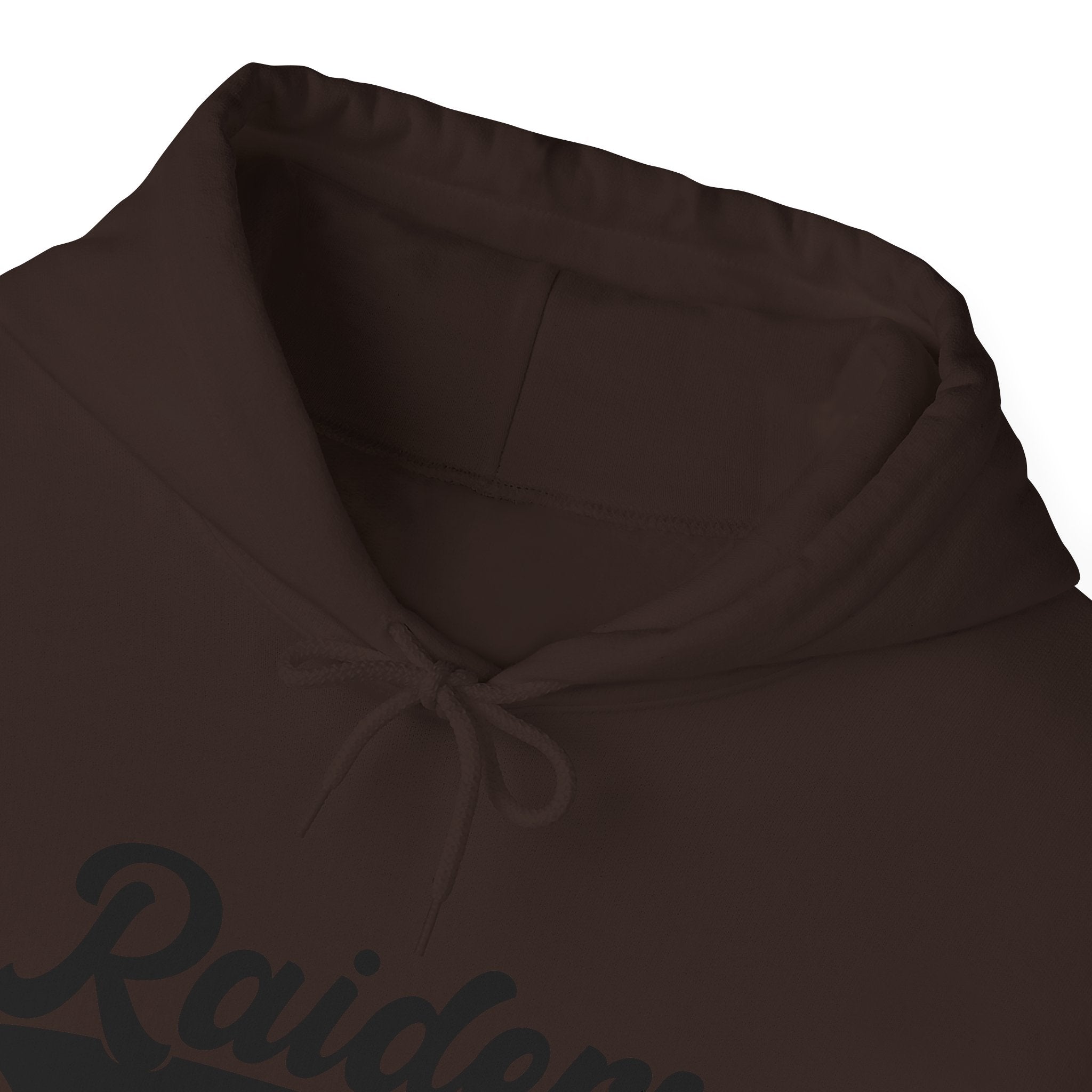 Pure Black Raiders Hoodie - Legendary Fanwear, Football Raiders Hoodie, Bold and Dominant, Ultimate Game-Day Gear, Football
