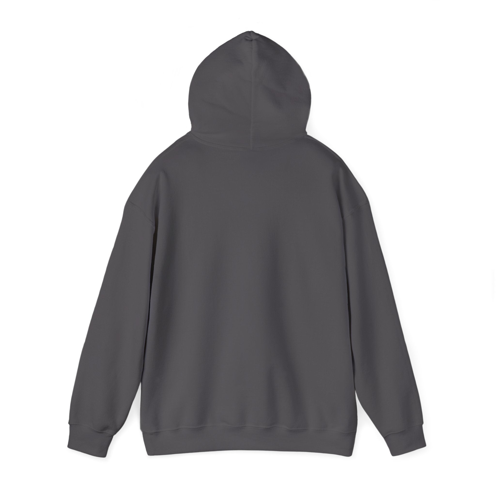 Gray Football and Helmet Shield Raiders Hoodie - Bold and Dominant, Ultimate Game-Day Gear, Raiders Football Hoodie Unisex