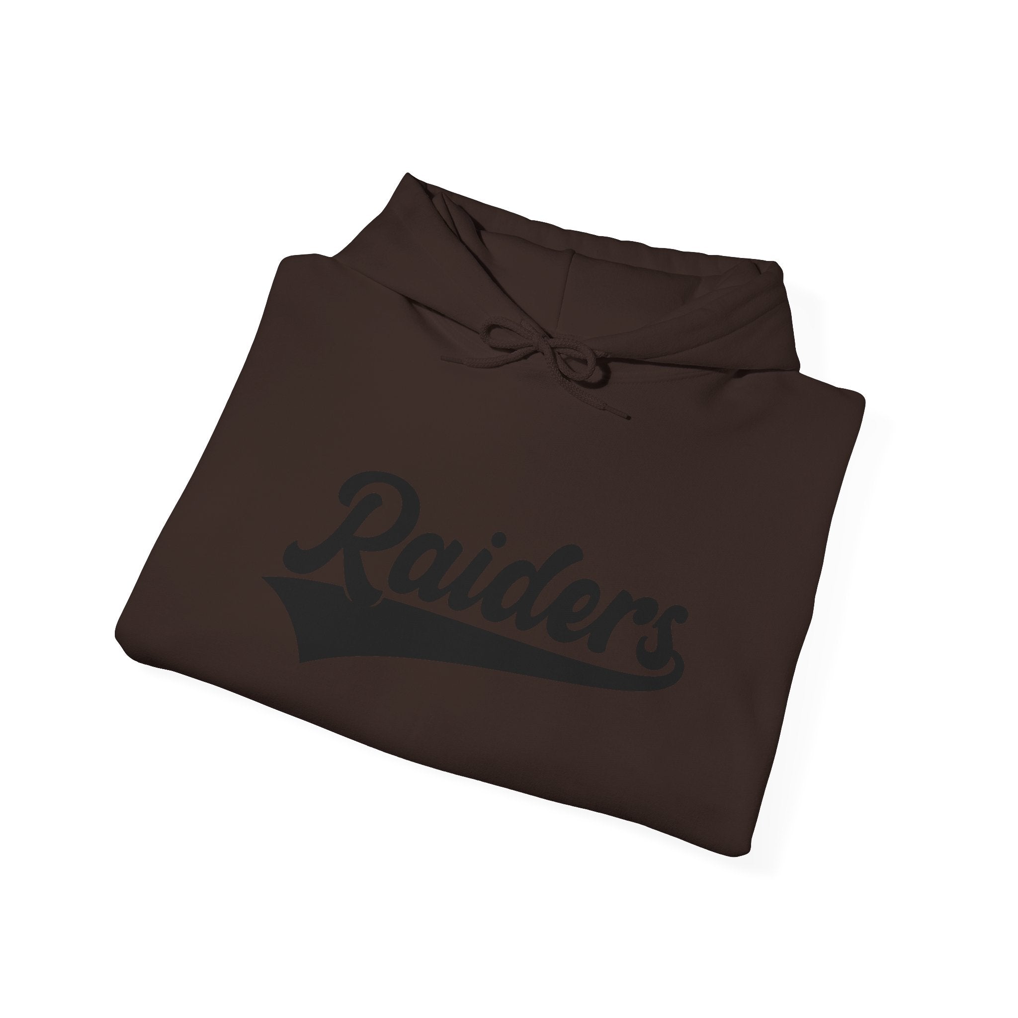 Pure Black Raiders Hoodie - Legendary Fanwear, Football Raiders Hoodie, Bold and Dominant, Ultimate Game-Day Gear, Football