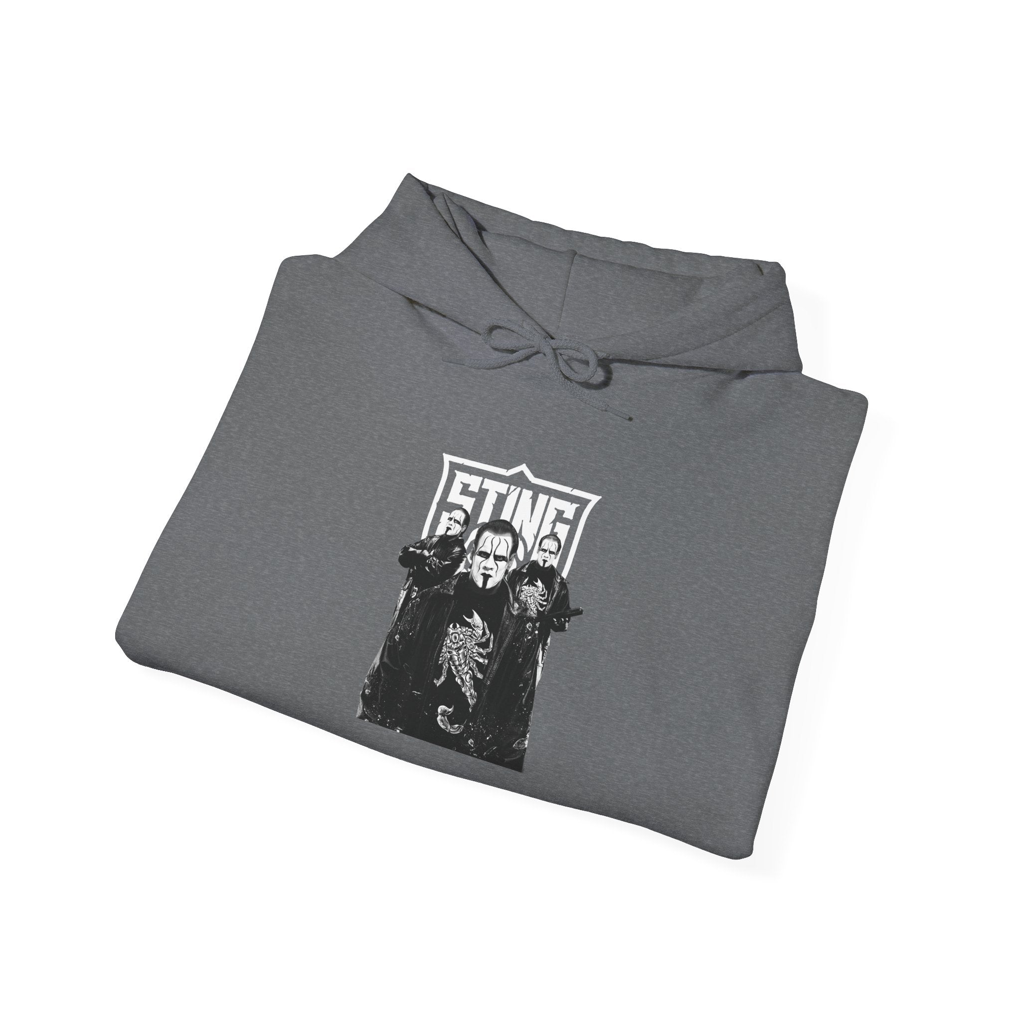 Sting Hoodies, Gift for Her - Gift for Him, Sports Fan Wrestling Unisex Hooded Sweatshirt, Casual Outwear