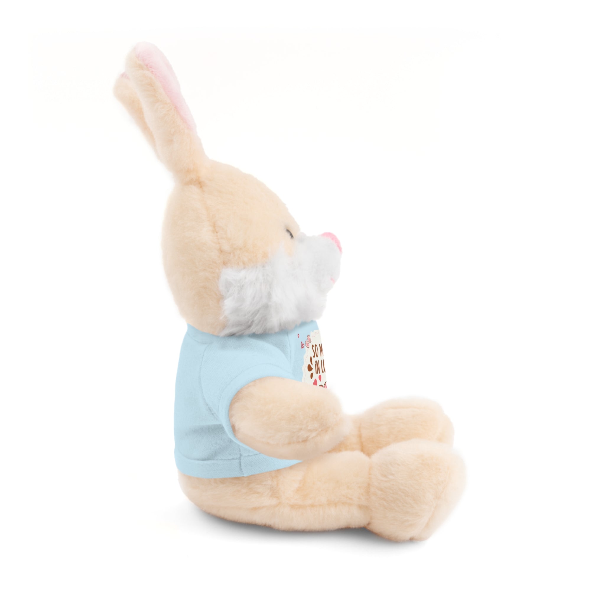 Pink Cute Sweet Love Valentines Day Gifts for Her Him, Kids Girlfriend Boyfriend Wife Mom Fiancée, Valentines Gifts for Women, Valentine's Day Teddy Bear, Funny Cute Stuffed Animal Plush Present for Birthday