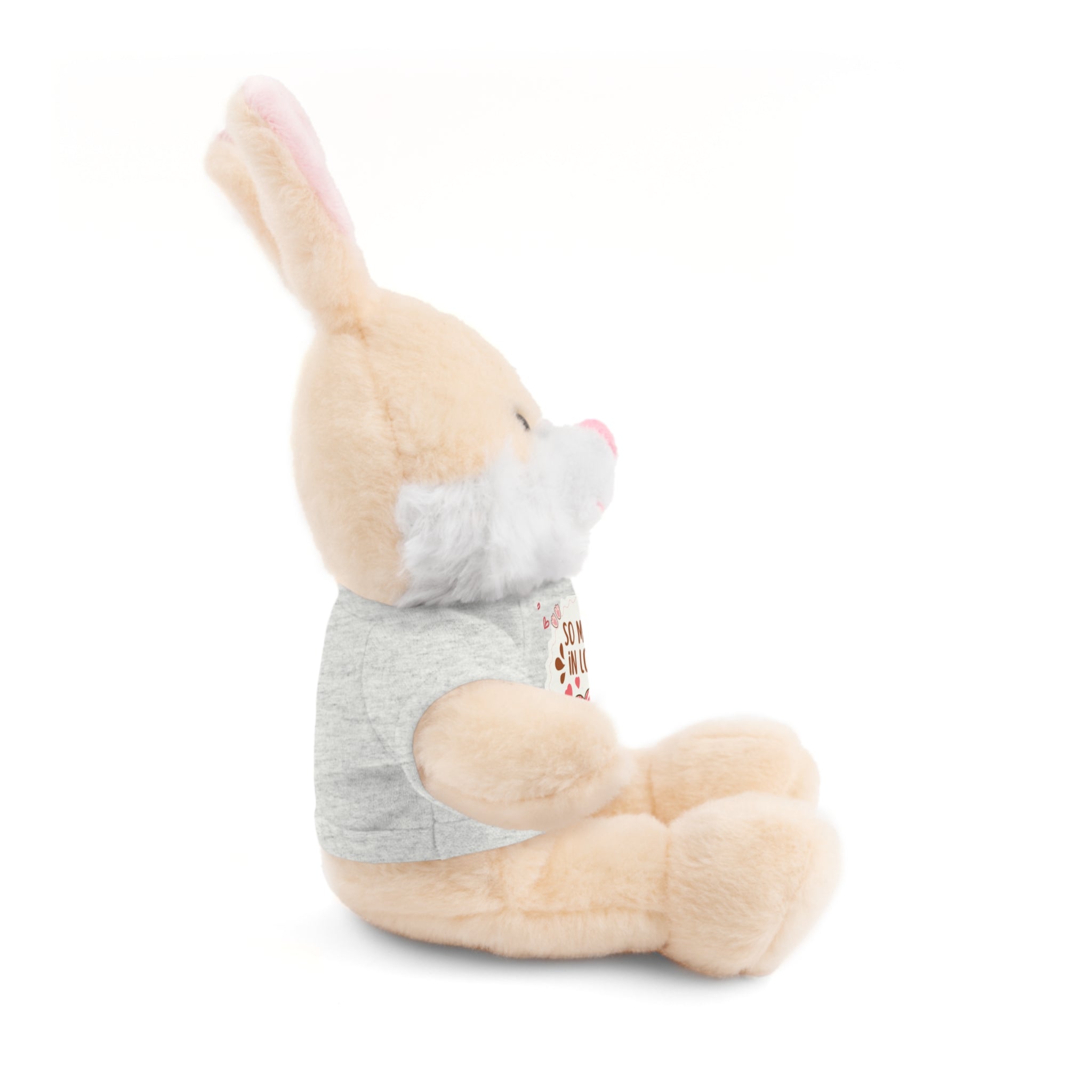 Pink Cute Sweet Love Valentines Day Gifts for Her Him, Kids Girlfriend Boyfriend Wife Mom Fiancée, Valentines Gifts for Women, Valentine's Day Teddy Bear, Funny Cute Stuffed Animal Plush Present for Birthday