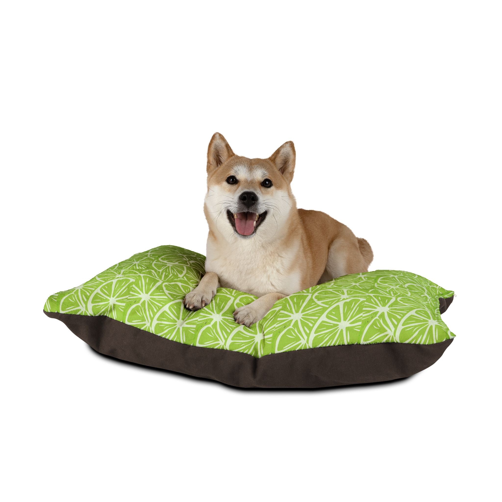 Green and White Flat Lime Pet Bed - Cat and Dog Bed, Anti-Anxiety Small Dog Bed, Calming Dog Bed for Puppy, Cozy Cat Bed, Fluffy Dog Beds for Small Dogs, Washable Puppy Bed for Indoor Pets