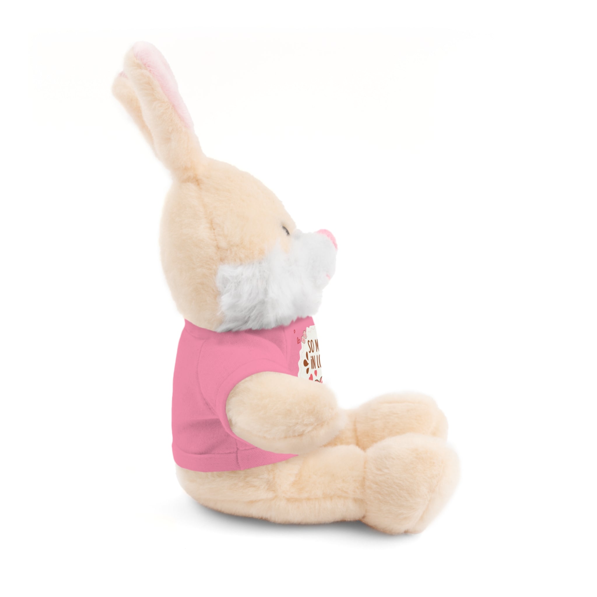 Pink Cute Sweet Love Valentines Day Gifts for Her Him, Kids Girlfriend Boyfriend Wife Mom Fiancée, Valentines Gifts for Women, Valentine's Day Teddy Bear, Funny Cute Stuffed Animal Plush Present for Birthday