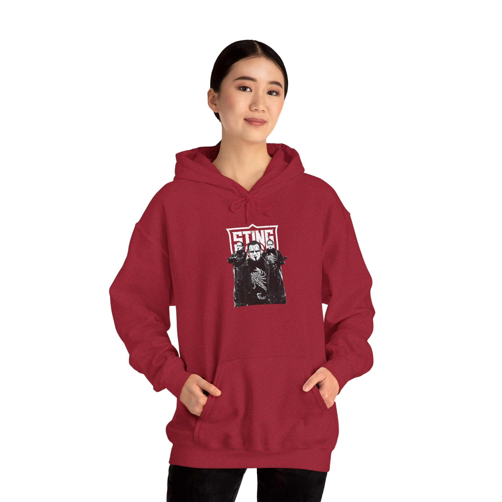 Sting Hoodies, Gift for Her - Gift for Him, Sports Fan Wrestling Unisex Hooded Sweatshirt, Casual Outwear