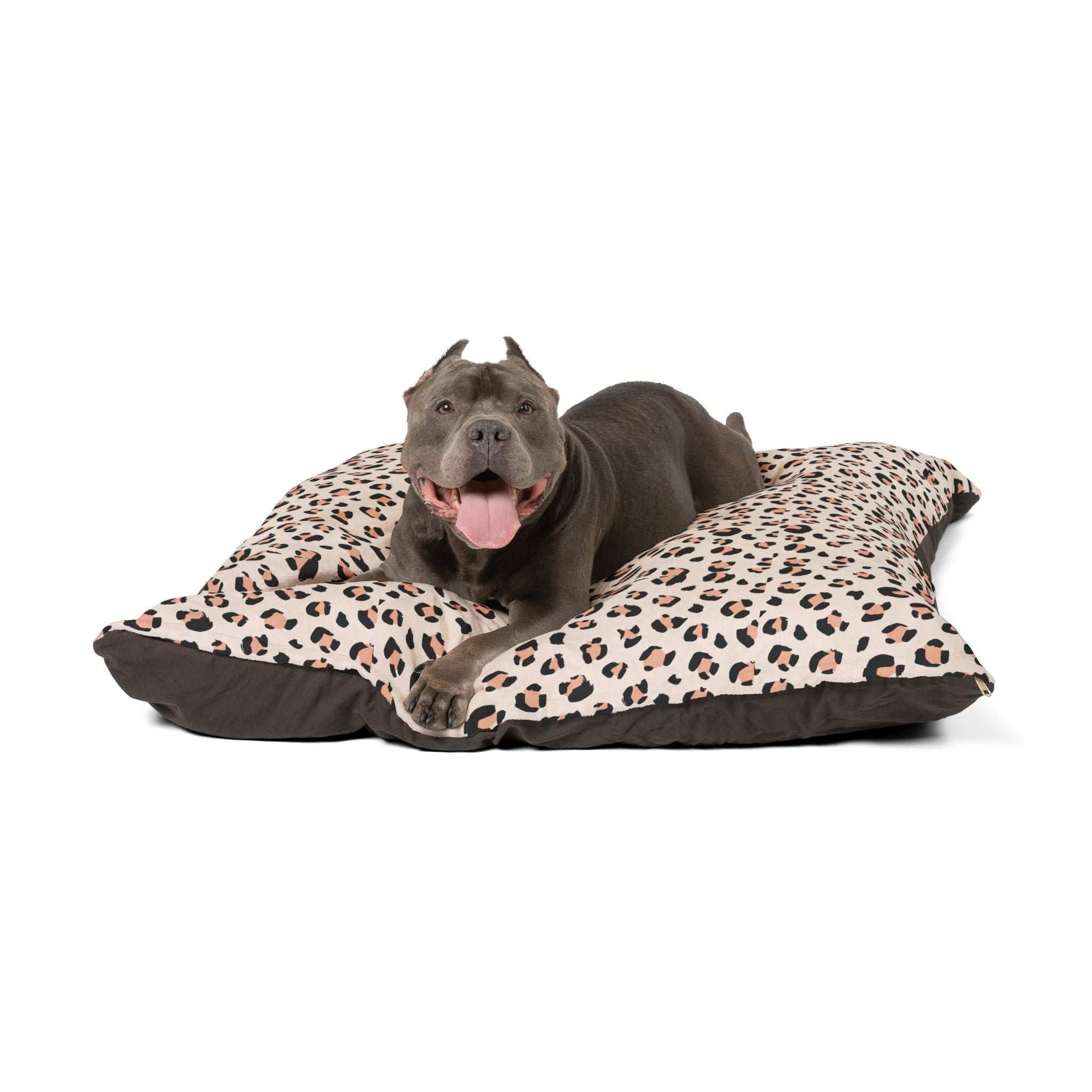 Pet Bed - Cat and Dog Bed, Anti-Anxiety Small Dog Bed, Calming Dog Bed for Puppy, Cozy Cat Bed, Fluffy Dog Beds for Small Dogs, Washable Puppy Bed for Indoor Pets