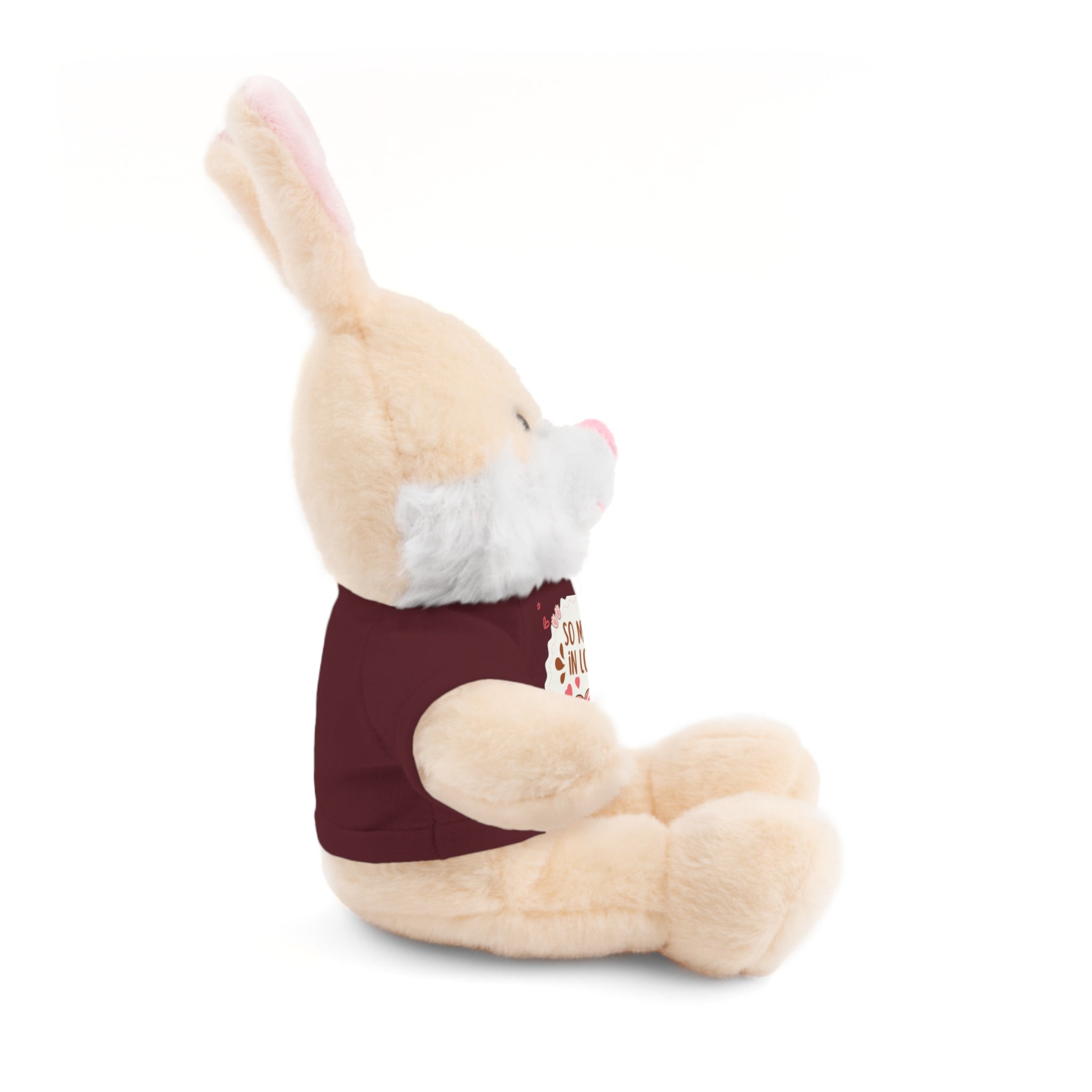 Pink Cute Sweet Love Valentines Day Gifts for Her Him, Kids Girlfriend Boyfriend Wife Mom Fiancée, Valentines Gifts for Women, Valentine's Day Teddy Bear, Funny Cute Stuffed Animal Plush Present for Birthday