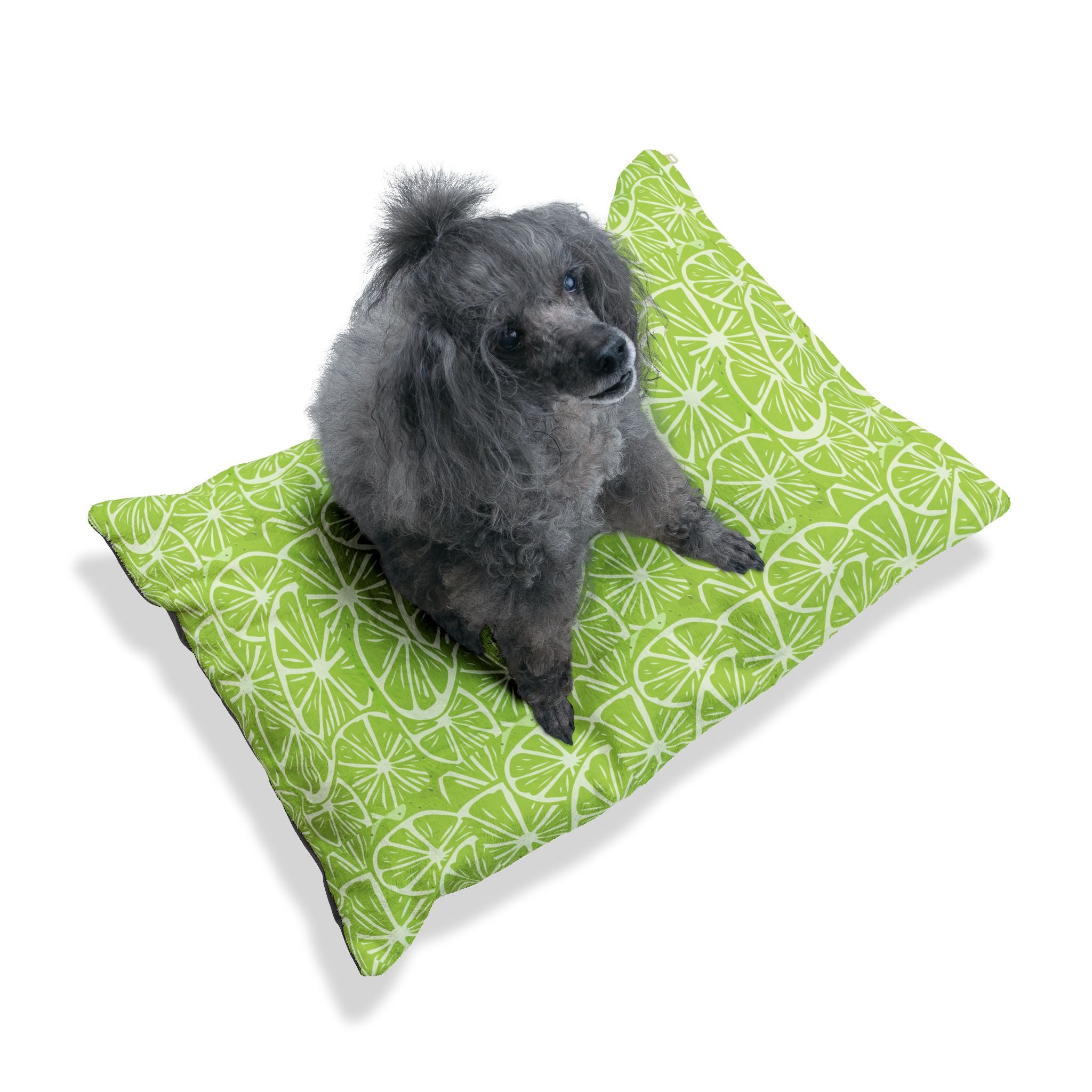 Green and White Flat Lime Pet Bed - Cat and Dog Bed, Anti-Anxiety Small Dog Bed, Calming Dog Bed for Puppy, Cozy Cat Bed, Fluffy Dog Beds for Small Dogs, Washable Puppy Bed for Indoor Pets