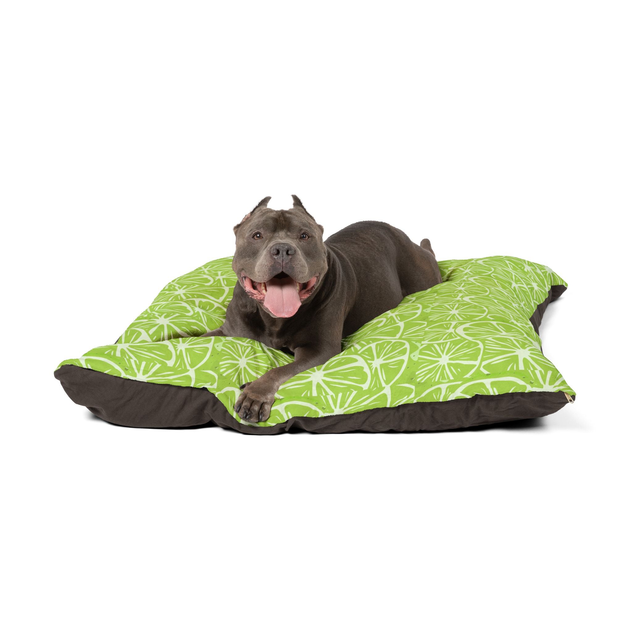 Green and White Flat Lime Pet Bed - Cat and Dog Bed, Anti-Anxiety Small Dog Bed, Calming Dog Bed for Puppy, Cozy Cat Bed, Fluffy Dog Beds for Small Dogs, Washable Puppy Bed for Indoor Pets